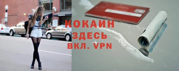 гидра Киреевск