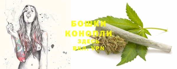 бошки Иннополис