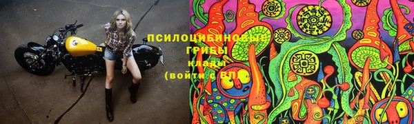 MDMA Premium VHQ Инта