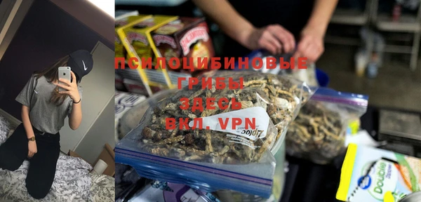 меф Инсар