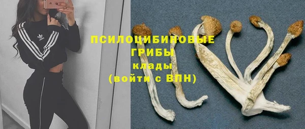 герыч Няндома