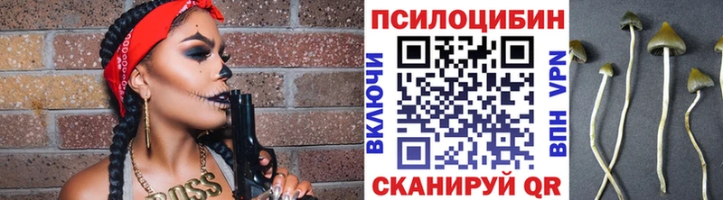 Псилоцибиновые грибы GOLDEN TEACHER  Рыбинск 