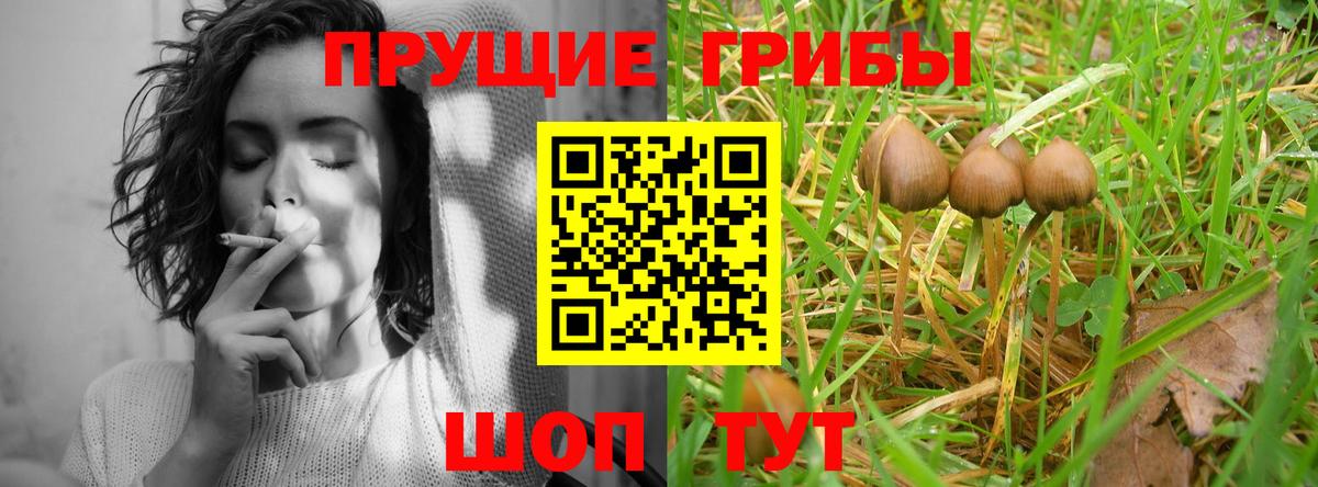 Галлюциногенные грибы мицелий Рыбинск