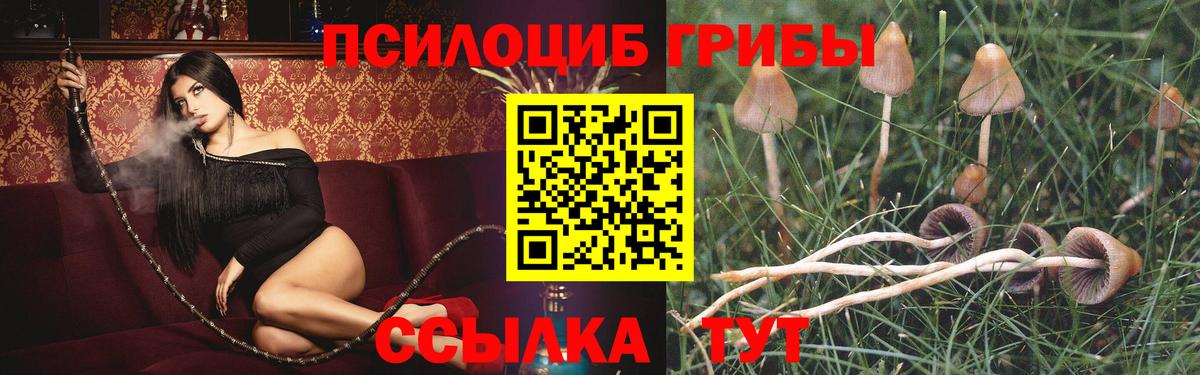 что такое   Галлюциногенные грибы GOLDEN TEACHER  Рыбинск  Вход с VPN  Галлюциногенные грибы GOLDEN TEACHER 